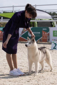 Елена Сергеевна Хриткина