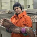 Виноградская Анастасия Викторовна